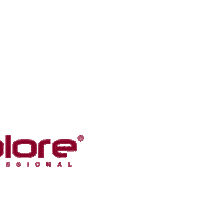 Dicco-Dicolore 1111 di colore Sticker