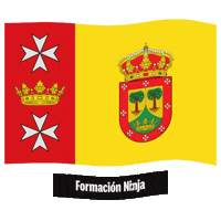 Castilla Y Leon Flag Sticker by Formación Ninja