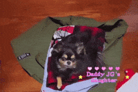Lee Joon Gi Jg GIF
