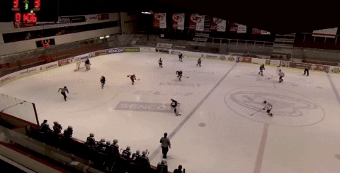 davidpanuska giphyupload GIF