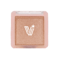 Rose Champagne Sticker by Vice Cosmetics