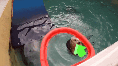Upvote GIF by Imgur