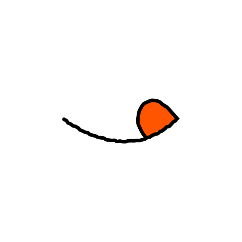 Face Smile Sticker by everibiome