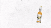 ElephantBay happy summer drink vegan GIF