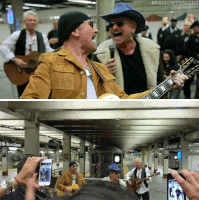 tonight show nbc GIF by The Tonight Show Starring Jimmy Fallon