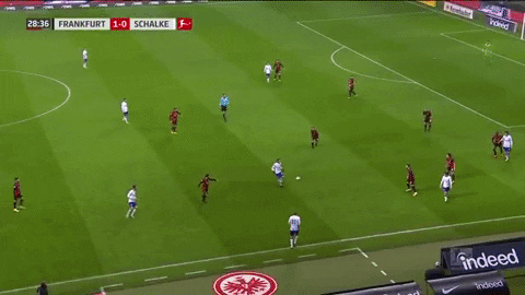 jakecastillo105d giphygifmaker GIF