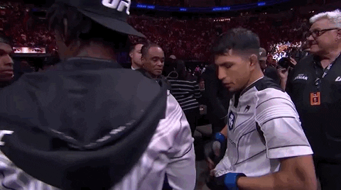 Sport GIF by UFC