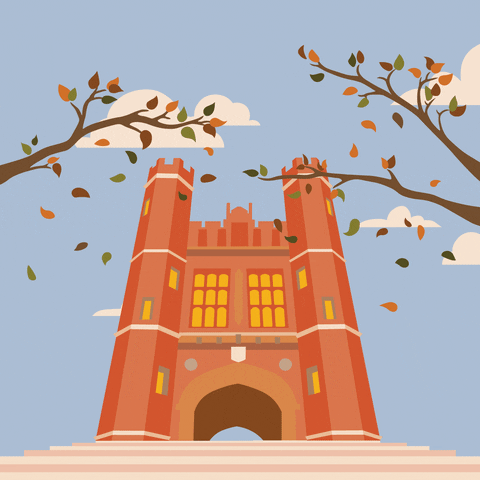GIF by Washington University in St. Louis