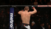ufc 205 GIF
