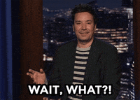 Jimmy Fallon What GIF by The Tonight Show Starring Jimmy Fallon