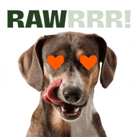 Heart Hunger GIF by BARFERS