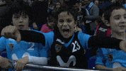 liga endesa applause GIF by ACB
