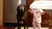 go go go run GIF