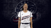Florida Softball GIF by USSSA Pride