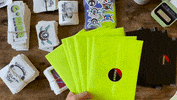 GIF by Paidia Gaming