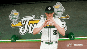 College Baseball Blake GIF by GreenWave
