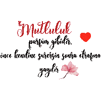Mnks Sozler Sticker