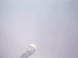 prince controversy GIF