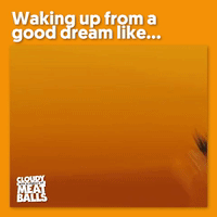 GIF by Sony Pictures Animation