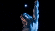 samirawinter blue snow winter stars GIF