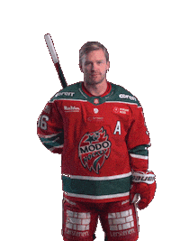Sticker by MoDo Hockey