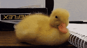 GIF by Demic