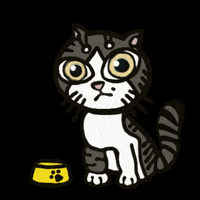 irene_hsyu cat food hey hungry GIF