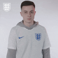 Three Lions Football GIF by England
