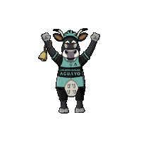 Winner Cow Sticker by Las Rodadas de Aguayo