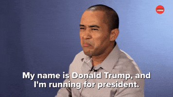 My Name Is Donald Trump