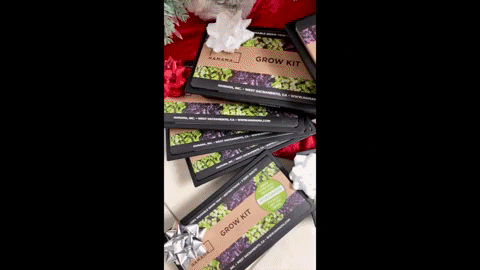 rcamille5555 giphyupload GIF