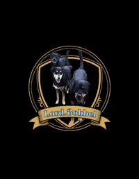 LordBobbel logo max lord maya GIF