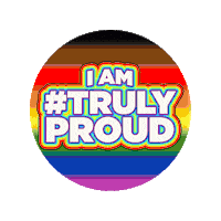 Pride Sticker by TRULY HARD SELTZER