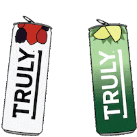 Party Summer Sticker by TRULY HARD SELTZER