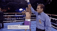 toprank boxing fighting espn fighters GIF
