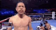 toprank boxing fighting espn fighters GIF