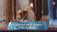 This is food?