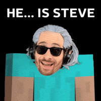 Video Games Steve GIF