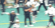 2018 nfl football GIF by NFL