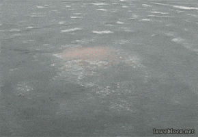 russian wtf GIF
