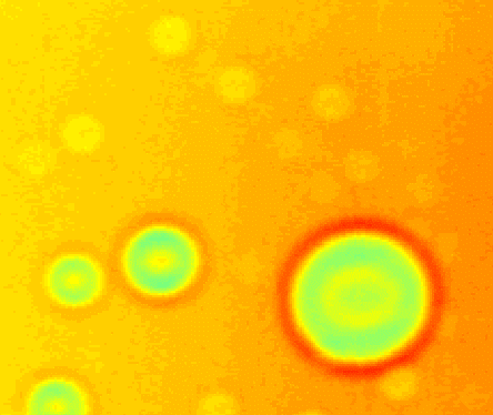 yellow GIF