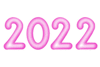 Celebrate New Year Sticker by sylterinselliebe