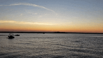 Jersey Shore Summer GIF by No Cheese Records