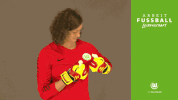 almuth schult top GIF by VfL Wolfsburg