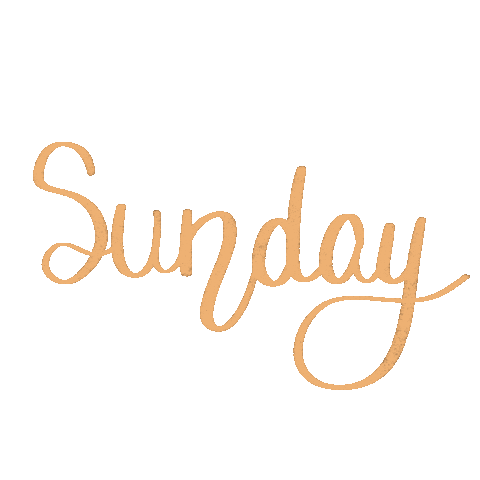 hayleykaye day weekend sunday sunday funday Sticker