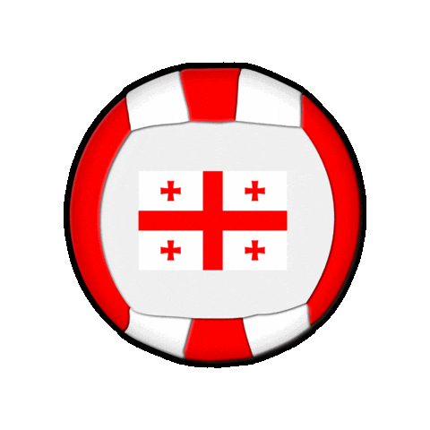 Ball Europe Sticker by Swiss Dodgeball