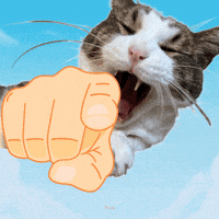 Funny Cat GIF by Furrend