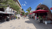 Playa Del Carmen Quinta Avenida GIF by CGTraveler - Carlos Garrido - Adventrgram