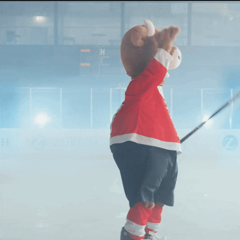 Ice Hockey GIF by Zurich Insurance Company Ltd