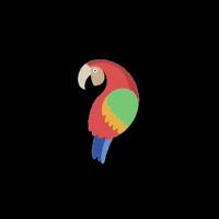 loreandofest lorito GIF